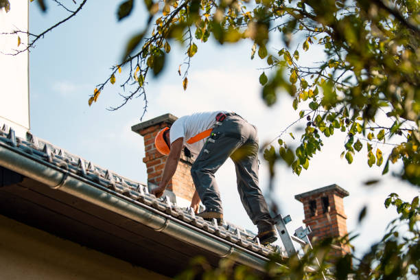 Roof Moss and Algae Removal in Kure Beach, NC